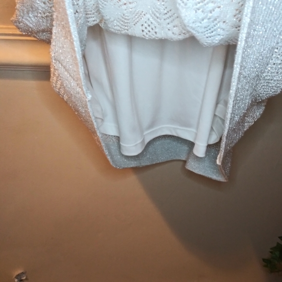 Lauren Ralph Lauren Sparkly Silver Intricate Knit Special Occasion Dress - Picture 8 of 12